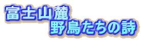 �x�m�R�[
�@�@�@�@�쒹�����̎�