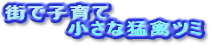 �X�Ŏq��ā@�����Ȗҋ׃c�~