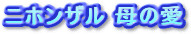 �j�z���U����̈�