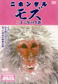 中古】 白山のニホンザル家族 野生の心を求めて