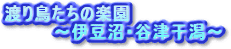�n�蒹�����̊y���`�ɓ����E�J�Ê����`