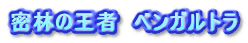 ���т̉��ҁ@�x���K���g��